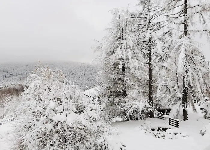 « a L'oree Du Bois » *