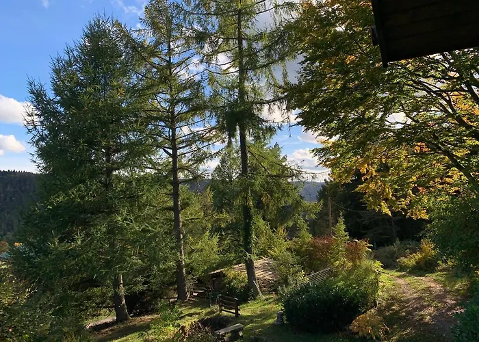  à L’orée Du Bois 