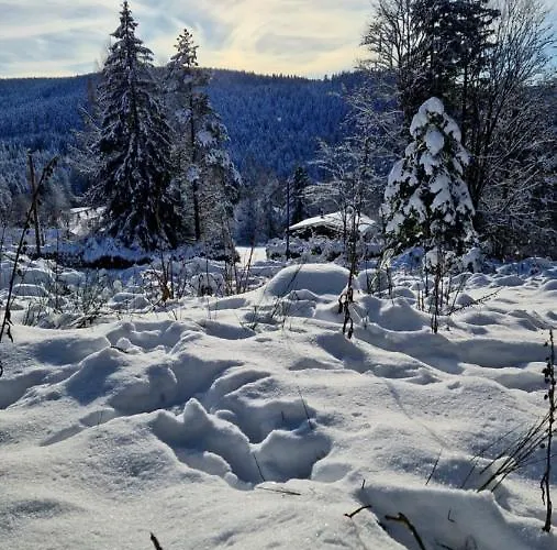  à L’orée Du Bois  *