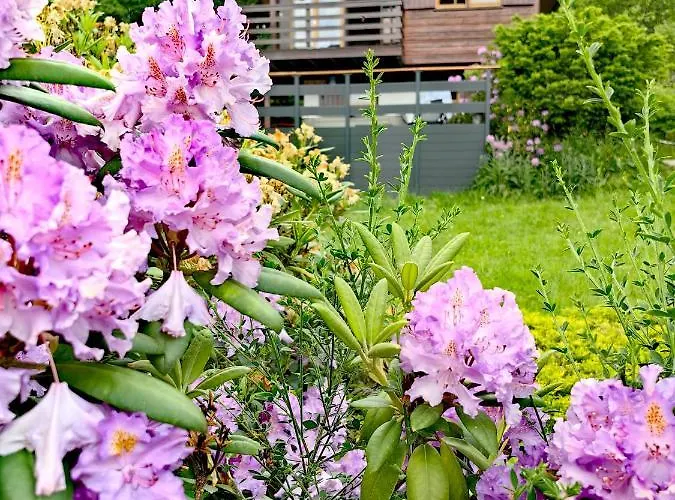 « a L'oree Du Bois » *